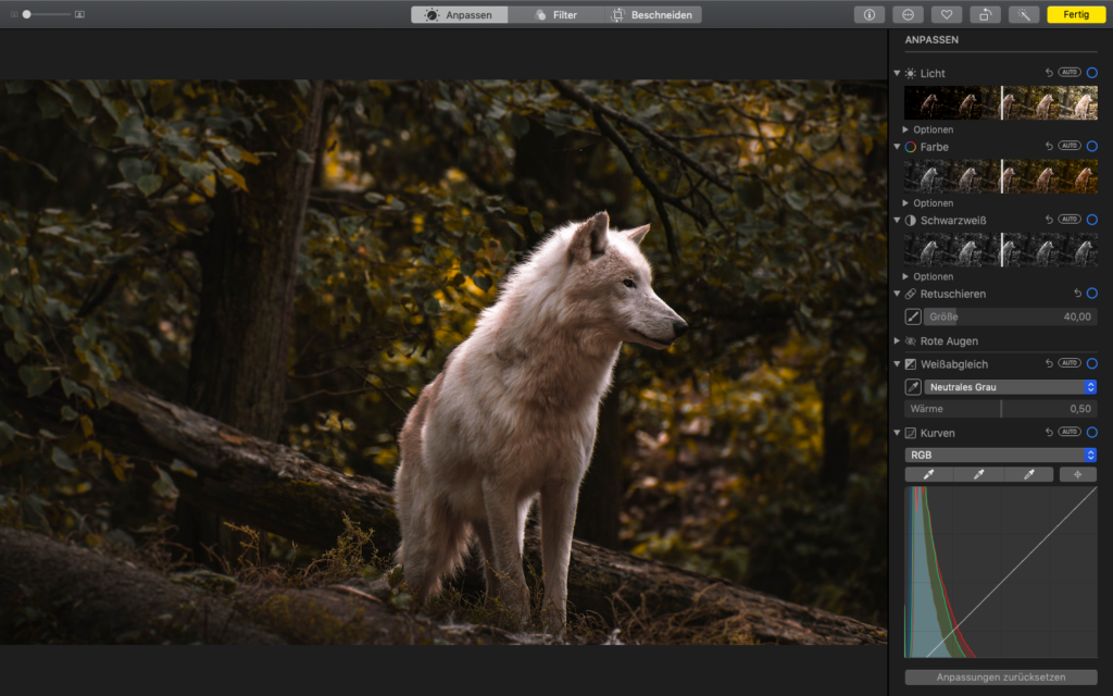 Photoshop-Alternative: Bildbearbeitungsprogramme im Test